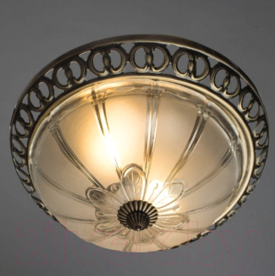 Потолочный светильник Arte Lamp A1306PL-2AB