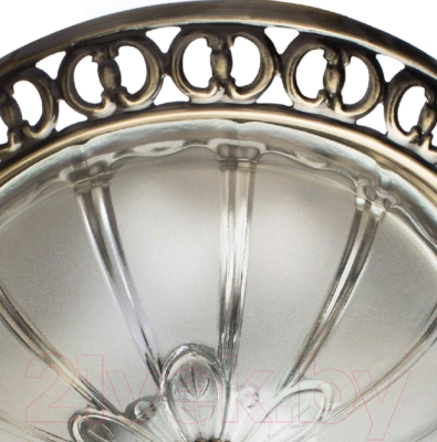 Потолочный светильник Arte Lamp A1306PL-2AB