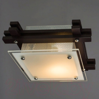 Потолочный светильник Arte Lamp Archimede A6462PL-1CK