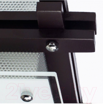 Потолочный светильник Arte Lamp Archimede A6462PL-1CK