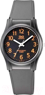Часы наручные мужские Q&Q VQ02J012Y - фото