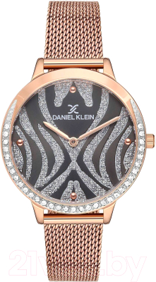 Часы наручные женские Daniel Klein 12858-4 - фото