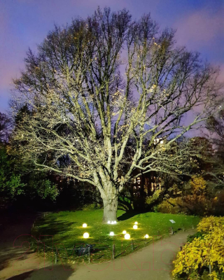 Светильник уличный Uniel ULG-R001 020/RGB IP65 Ball / UL-00003301