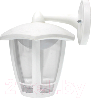 Бра уличное Элект Дели 3 ДБУ 07-8-006 У1 - фото