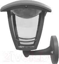 Светильник уличный Элект Дели ДБУ 07-8-001 У1 - фото