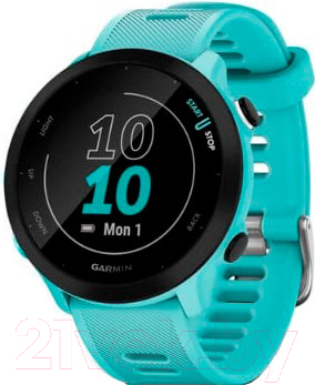 Умные часы Garmin Forerunner 55 / 010-02562-12 - фото