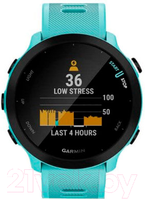 Умные часы Garmin Forerunner 55 / 010-02562-12