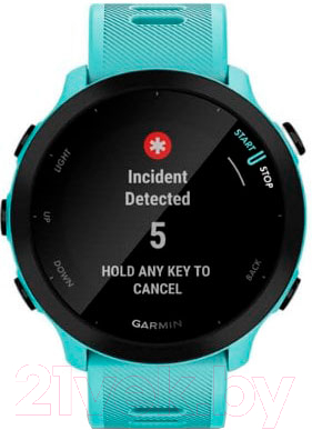 Умные часы Garmin Forerunner 55 / 010-02562-12