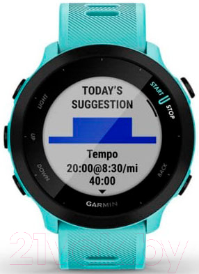 Умные часы Garmin Forerunner 55 / 010-02562-12