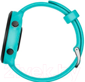 Умные часы Garmin Forerunner 55 / 010-02562-12