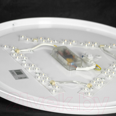 Потолочный светильник Lussole LSP-8466