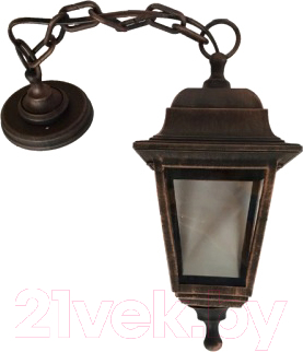 Светильник уличный Элект Адель НСУ 04-60-001 У1 - фото