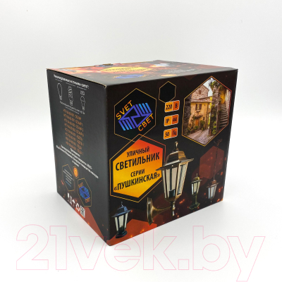 Светильник уличный Элект Адель НСУ 04-60-001 У1