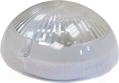 Светильник ЖКХ Элект НБП 06-60-101 УХЛ1 - фото