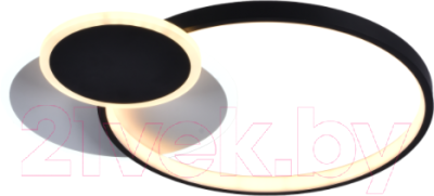 Потолочный светильник Rivoli Julia 6080-108 / Б0052414 - фото