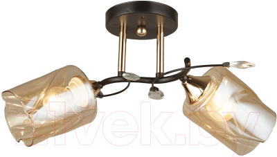 Потолочный светильник Aitin-Pro N4496/2 - фото