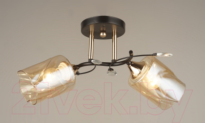 Потолочный светильник Aitin-Pro N4496/2