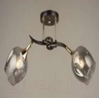 Потолочный светильник Aitin-Pro N4476/2 - фото