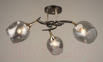 Люстра Aitin-Pro N4476/3 - фото