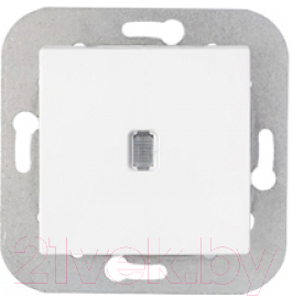 Выключатель Bylectrica С1 10-556 - фото