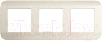 Рамка для выключателей и розеток Luxar Deco 10.903.01 - фото