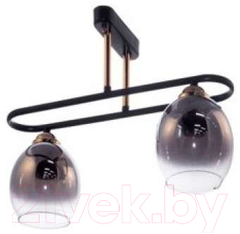 Потолочный светильник Aitin-Pro НПБ N4385/2 - фото