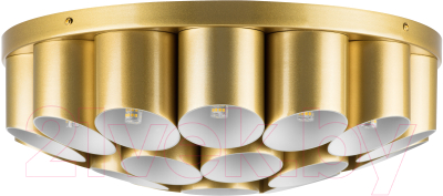 Люстра Lightstar Siena 720222 (MX2095/22A) - фото