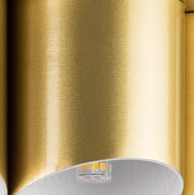 Люстра Lightstar Siena 720222 (MX2095/22A)