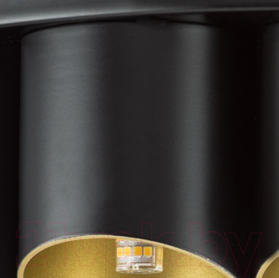 Люстра Lightstar Siena 720227 (MX2095/22A)