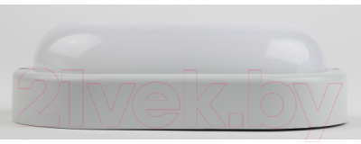 Светильник ЖКХ ЭРА SPB-202-0-65K-012 / Б0047622