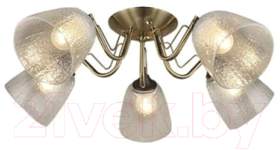 Люстра Aitin-Pro НПБ C1511/5 - фото