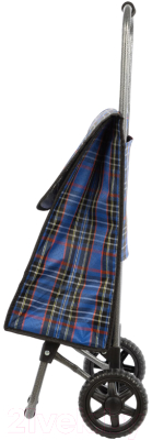 Сумка-тележка Рыжий кот D203 Isoterma / 093583