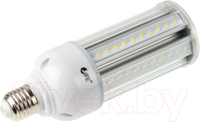 Лампа Falcon Eyes ML-25 FL LED / 28479 - фото