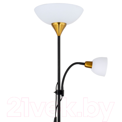 Торшер Arte Lamp Duetto A9569PN-2BK