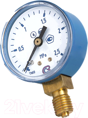 Манометр газовый Редиус 2.5 МПа (102041) - фото