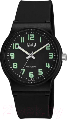 Часы наручные мужские Q&Q VS50J010Y - фото