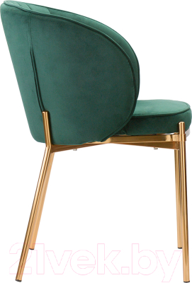 Стул Bergenson Bjorn Coral / BEAR-CO10888 (темно-зеленый)