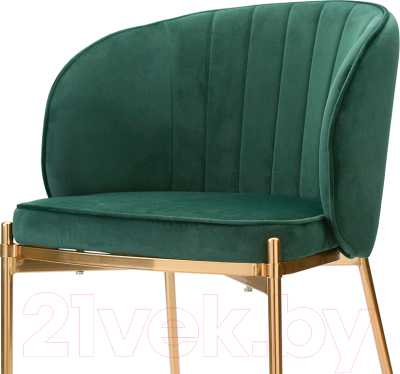 Стул Bergenson Bjorn Coral / BEAR-CO10888 (темно-зеленый)