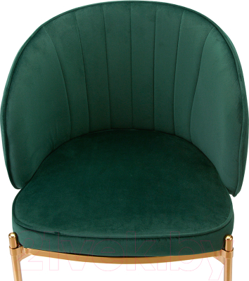 Стул Bergenson Bjorn Coral / BEAR-CO10888 (темно-зеленый)