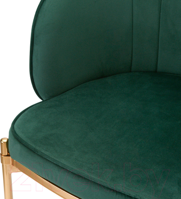 Стул Bergenson Bjorn Coral / BEAR-CO10888 (темно-зеленый)