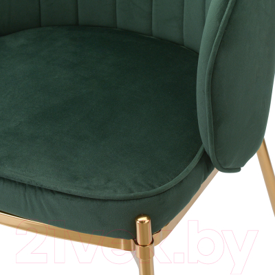 Стул Bergenson Bjorn Coral / BEAR-CO10888 (темно-зеленый)