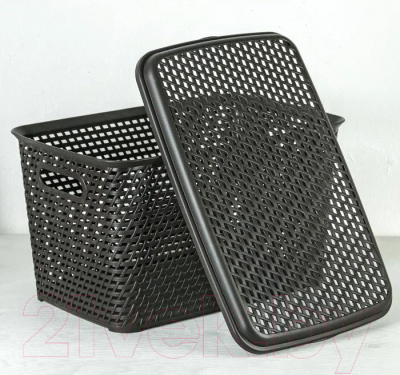 Ящик для хранения Idea Ротанг / М2372