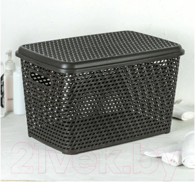 Ящик для хранения Idea Ротанг / М2372