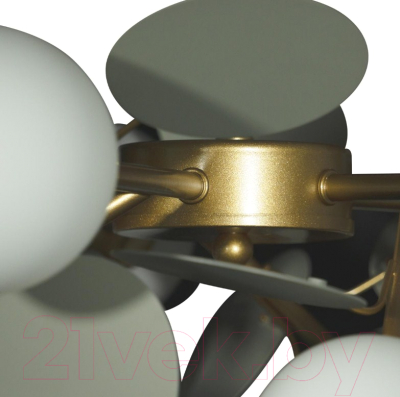 Люстра Loftit Matisse 10008/10