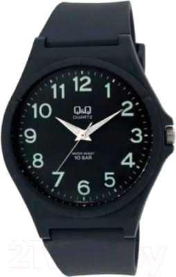 Часы наручные мужские Q&Q VQ66J005Y - фото