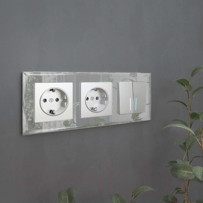 Рамка для выключателей и розеток Werkel W0031220