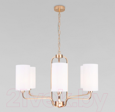 Люстра Евросвет Purezza 60128/6