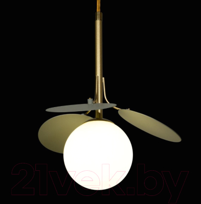 Потолочный светильник Loftit Matisse 10008/1P