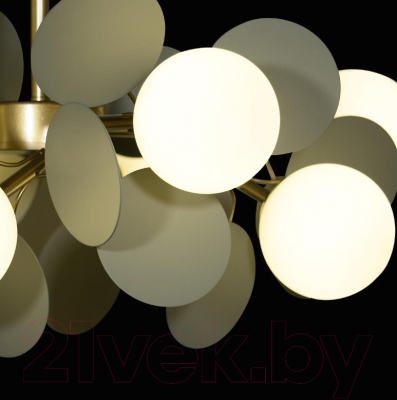 Люстра Loftit Matisse 10008/8