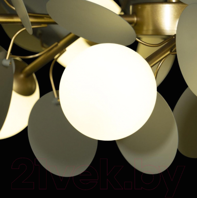 Люстра Loftit Matisse 10008/8